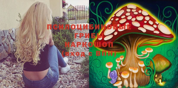 мдпв Навашино
