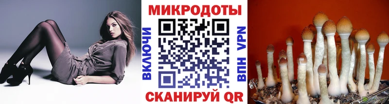 Псилоцибиновые грибы Magic Shrooms Таганрог